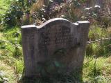 image of grave number 319709